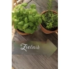 Strzałka „Zielnik ”